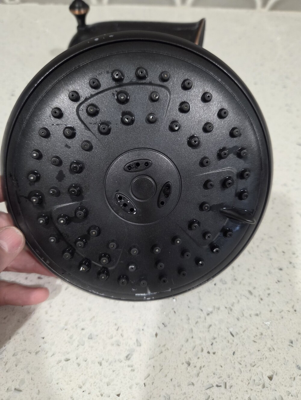 Delta oil rubbed bronze shower head
